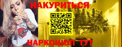 гидра Кингисепп