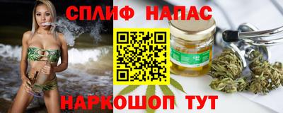 гидра Кингисепп