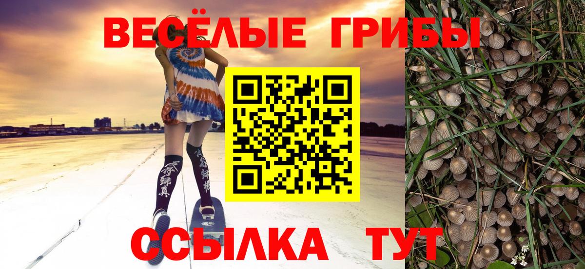 Красноуфимск  Галлюциногенные грибы Psilocybe  Вход с VPN 